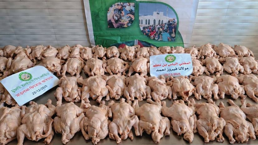 গাজাতে অসংখ্য পরিবারের মাঝে মুরগী বিতরণ করলাম আলহামদুলিল্লাহ