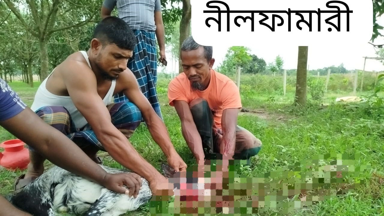 Qurbani-Meat-Distribution