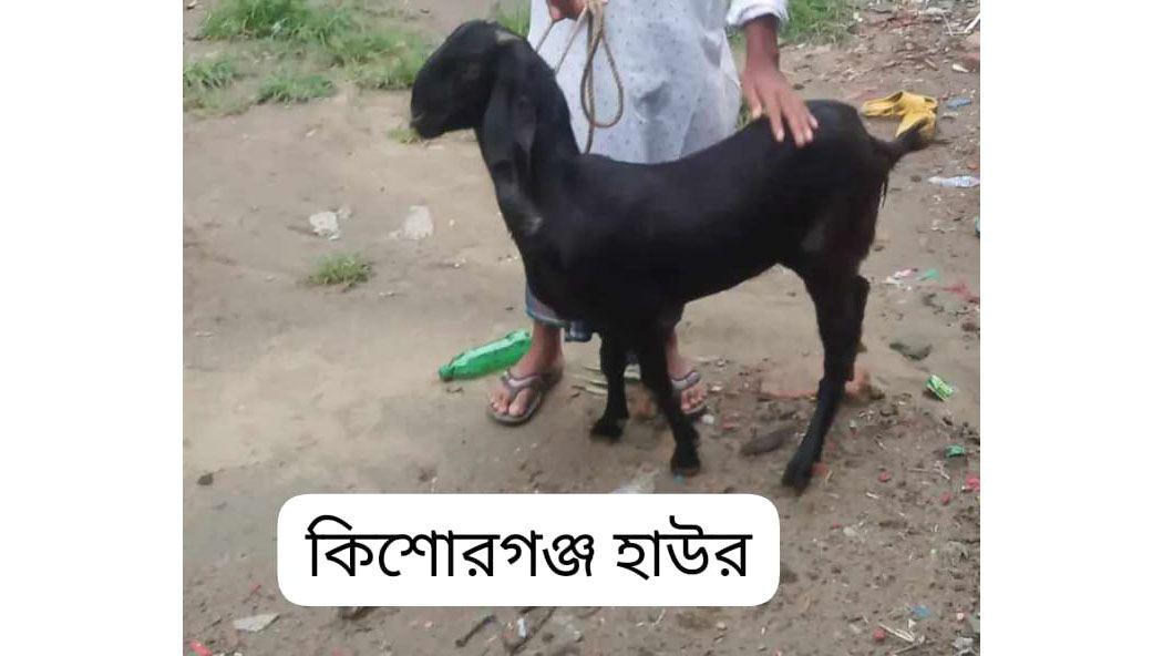 Qurbani-Meat-Distribution
