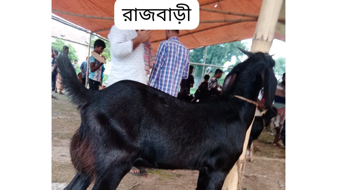 Qurbani-Meat-Distribution