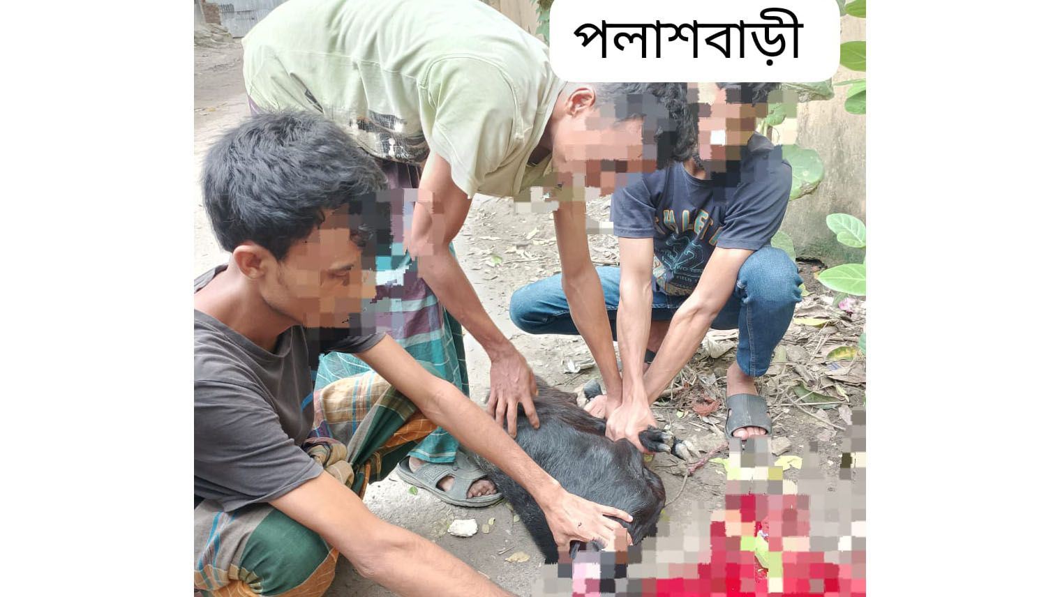 Qurbani-Meat-Distribution