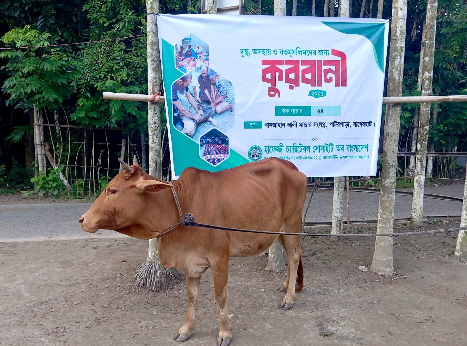 Qurbani-Meat-Distribution-2025-31