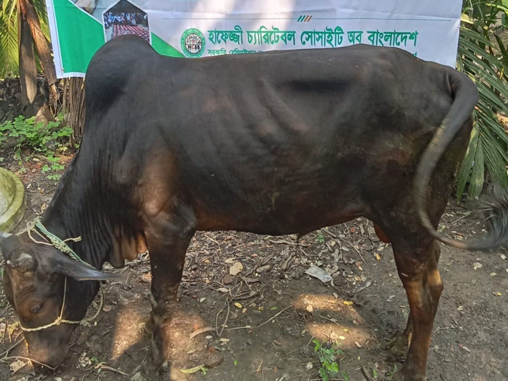 Qurbani-Meat-Distribution-2025-34