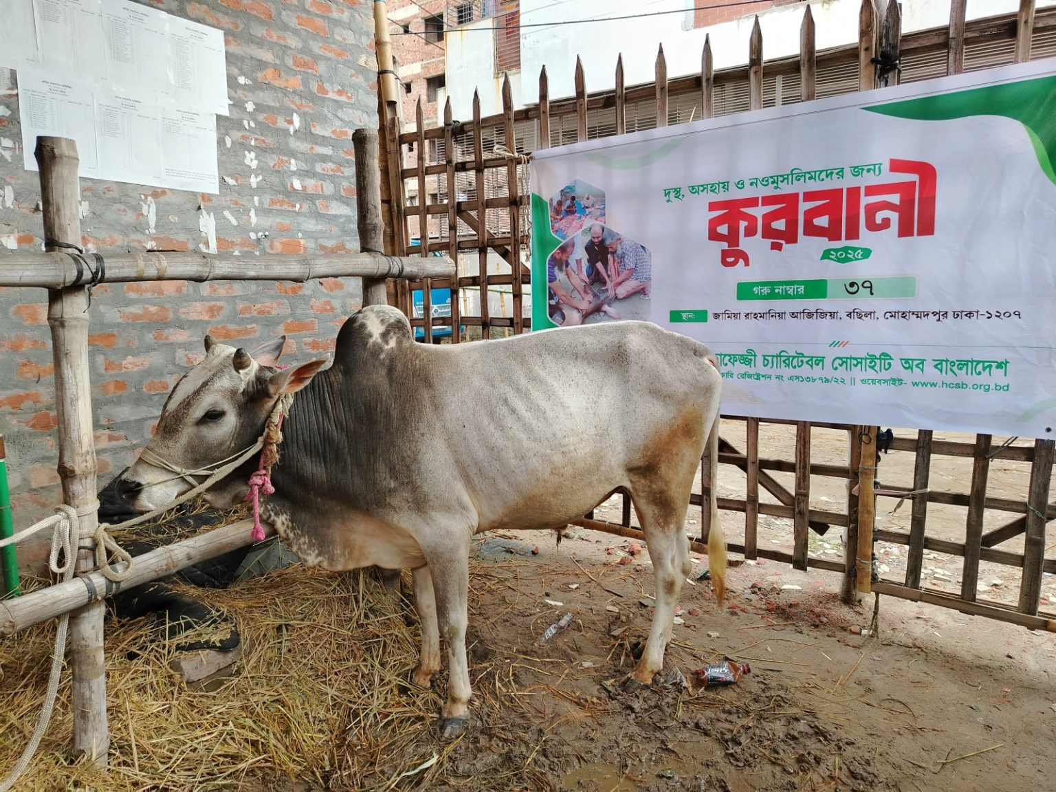 Qurbani-Meat-Distribution-2025-36