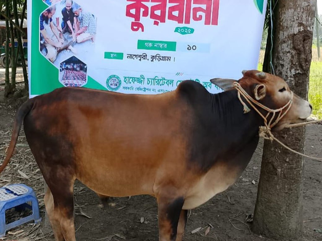 Qurbani-Meat-Distribution-2025-4