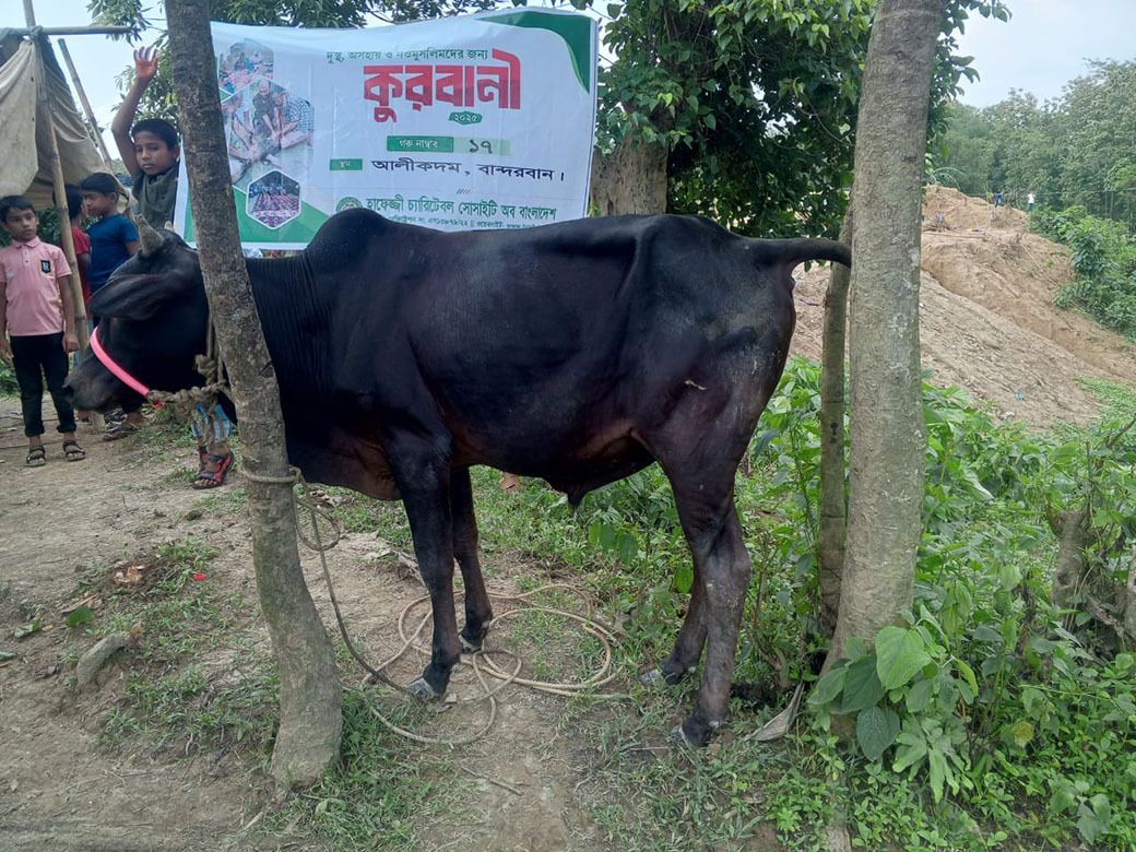 Qurbani-Meat-Distribution-2025-7