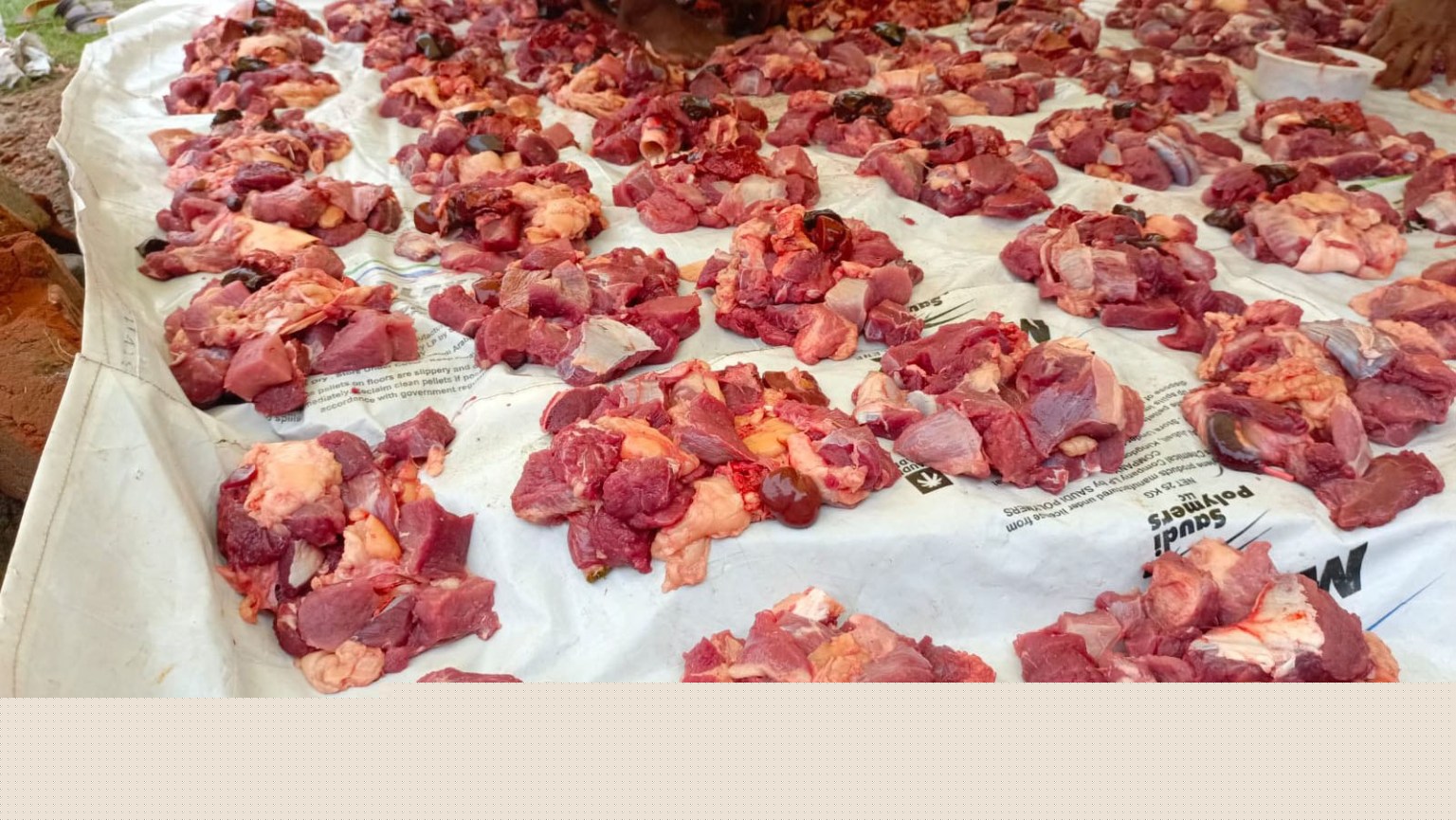 Qurbani-Meat-Distribution
