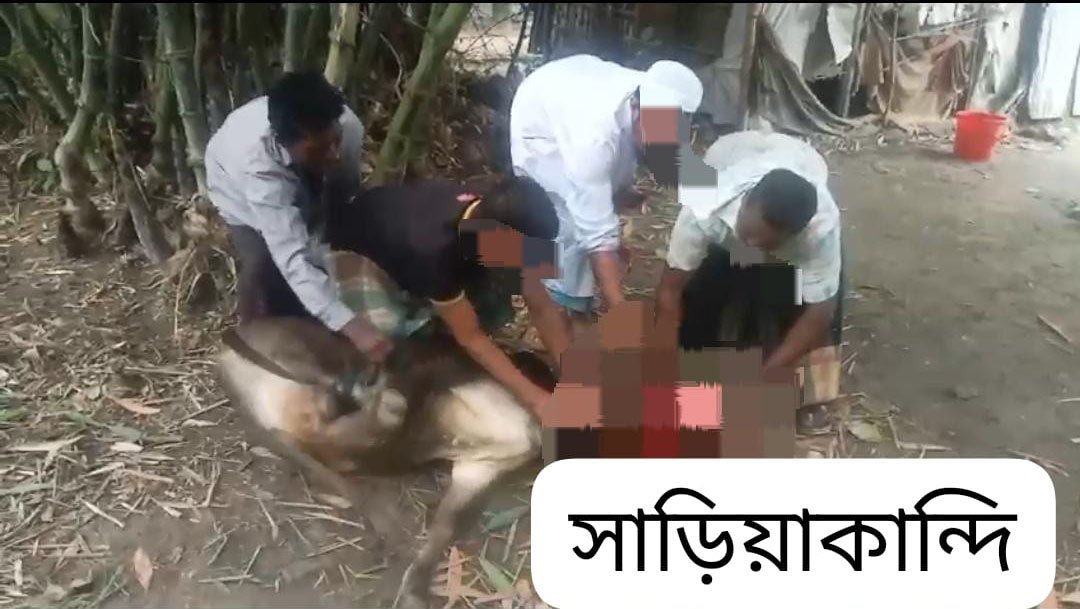 Qurbani-Meat-Distribution