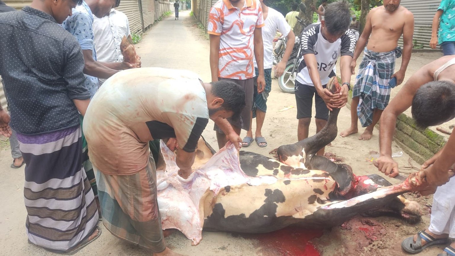 Qurbani-Meat-Distribution