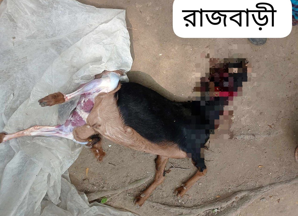 project-qurbani-meat-distribution-16