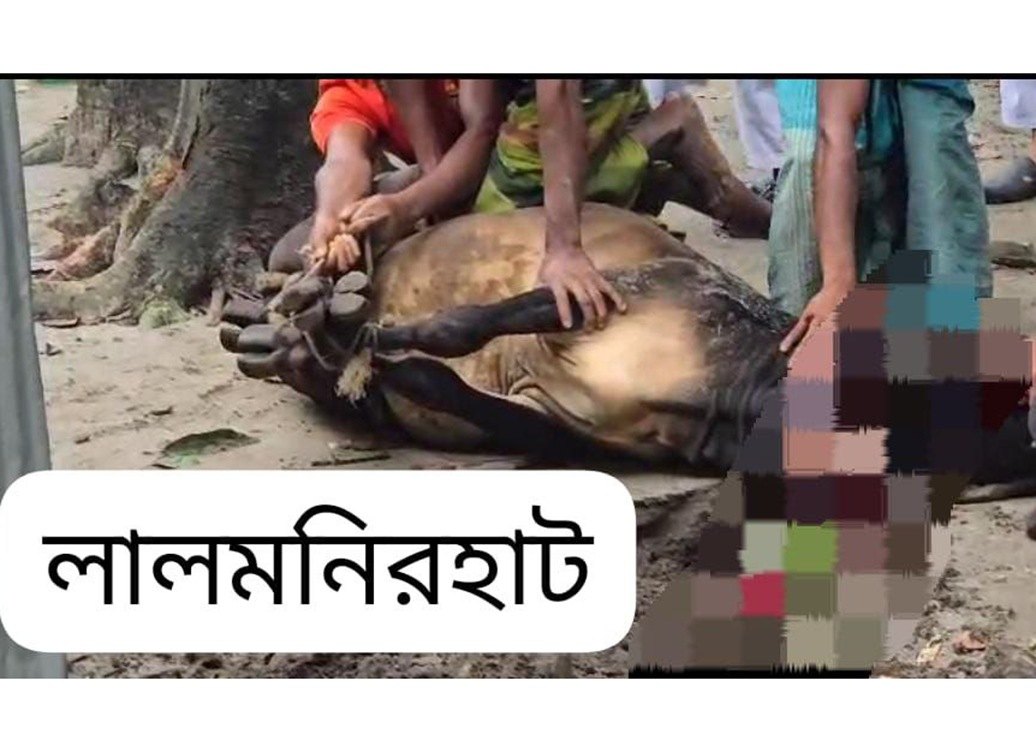project-qurbani-meat-distribution-25