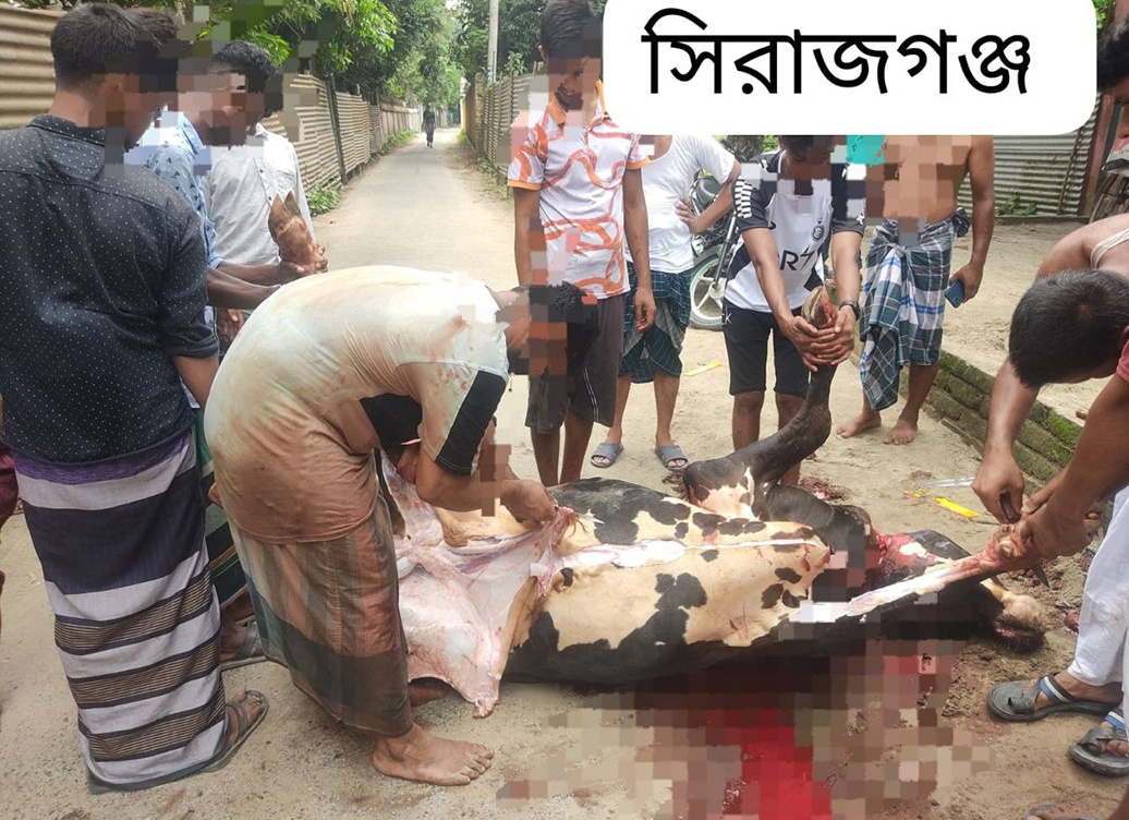 project-qurbani-meat-distribution-28